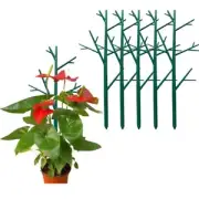 Sturdy Plant Climbing Frame Plants Support Climbing Trellis