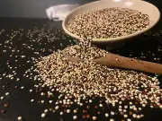 Tri Color Organic Quinoa 10 Pounds