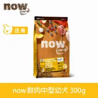 在飛比找ETMall東森購物網優惠-Now! 鮮肉無穀天然糧 幼母犬配方 300克(100克3包