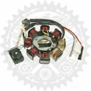 New Stator For Baotian BT49QT-9D1 50 4T 2009-2014