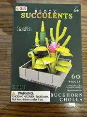 Block Tech Block Succulents Buckhorn Cholla Plant Building Blocks Brick
