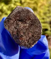 meteorite: NWA 16875 Weight 6.795 Grams. Beautiful!!