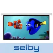 90" Inch Motorised Retractable 16:9 Projector Screen with Remote Control