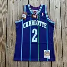Men’s Mitchell & Ness Charlotte Hornets Swingman Jersey ‘94 Larry Johnson Medium
