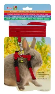 Adjustable Dwarf Rabbit Bunny Harness & Lead Set