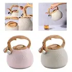Stove Top Loud Whistling Kettle Stovetop Heat Teapot for Outdoor & Indoor