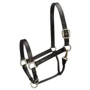 Camelot Basic Leather Adj Stable Halter w/ Snap
