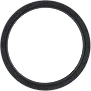 Crankshaft Rear Seal OSS0385