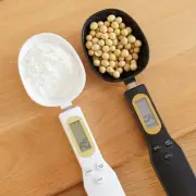 Electronic Kitchen Scale LCD Display Digital Weight Measuring Spoon 500g 0.1g