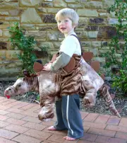 Kids Safari Wrap 'n' Ride Plush Brown Stegosaurus Dinosaur Dino Costume