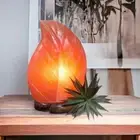 Himalayan Leaf Salt Lamp - Includes 12v Cord and 12 Watt Globe
