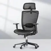 FLEXISPOT OC3D Ergonomic Executive Mesh Office Chair Swivel Height Adjustable Seat Headrest Armrest Lumbar Support Caster Wheels Task Chair Black Mesh Seat Computer Office DeskChair