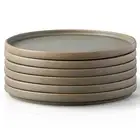 AmorArc Stoneware Dinner Plates Set of 6 10.5 Inch Reactive Matte Glaze Ceram...