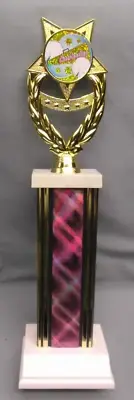 CHEERLEADING trophy pink insert award pompom weighted white base team quantities