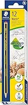 STAEDTLER 120-0 Noris Graphite Pencils - 2B (Box of 12), Black