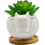 Catzon Cute Animal Cow Shaped Cartoon Ceramic Succulents Cactus Flower Pot(Plant and Bamboo Tray Not Included)