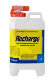 Virbac Recharge for Horses 5 litres