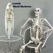 1pc 170cm Full Body Skeleton Halloween Human Skeleton Head Body Model Life Size Model House Prop Medical AU