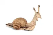 Snail Plush Soft Toy by Hansa. 20cm. 5960