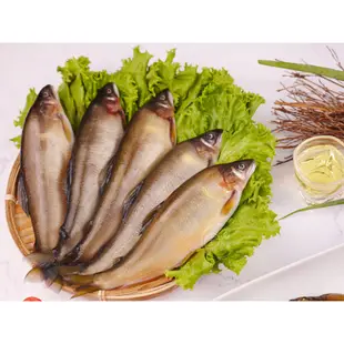 【寶海鮮】爆蛋母香魚(920g±10%-5尾~7尾/盒)/鮮肉公香魚(920g±10%-8尾~10尾/盒)