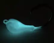 3pk Circle Hook Jigs - 1oz - Glow Blue