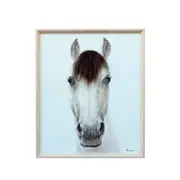 Willow & Silk Horse Mugshot with Artificial Hair Framed Canvas Wall Art 50x60cm