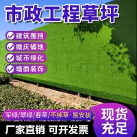 在飛比找蝦皮商城精選優惠-仿真綠草皮工地圍擋草坪幼兒園地毯戶外人工假草坪工程草皮圍墻