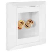 (R)Wall Socket Connection Port with 2 Jack Speaker White W5L25803