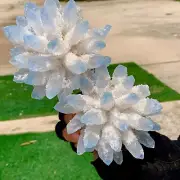 2.04LB New Find Blue PhantomQuartz Crystal Cluster MineralSpecimen