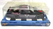 DALE EARNHARDT 2002 WINNER'S CIRCLE MONTE CARLO CELEBRATION 1:24 NASCAR#3-HOF