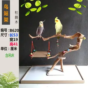 鳥站架 鸚鵡站架 鸚鵡架子 玄鳳牡丹中小型站架 樹根訓鳥架 樹枝鳥站架 站桿 實木『my4328』