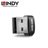 在飛比找momo購物網優惠-【LINDY 林帝】USB A公 TO C母轉接頭