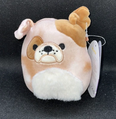 Bronk (The Bulldog) 4" Squishmallow 2023 Easter Squishmallow. New Kellytoy.