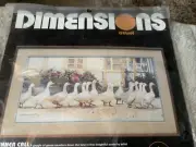 Dimensions Dinner Call Crewel Embroidery Kit Geese Waddling Stitch 1987