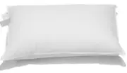 Alliance Down Surround Pillow