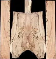 Spalted Anglestep Silver Maple Burl Acoustic Guitar Back and Sides (J-200) READ