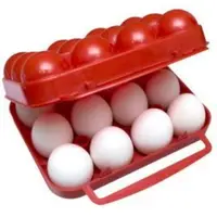 在飛比找Yahoo!奇摩拍賣優惠-DJ-5612 十二粒裝蛋盒 戶外 休閒露營用品【小潔大批發