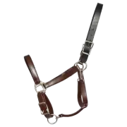 HORSE SIZE- READY MADE - Brown TURNOUT HALTER Made from BETA BIOTHANE