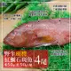 築地一番鮮 海底紅金-峇里島-野生紅鰷石斑魚4條(450g±50g/條)