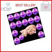 CHENGU 15 Pieces Ghost Hunting Cat Ball Light up Cat Balls Motion Activated Inte