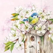 Cherry Blossom Birdhouse Party Napkins - 40 Count | 2 Packages of 20CT Lunch Napkins