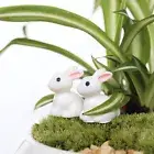 2pcs Rabbit Miniature Ornament Home Decor Fairy Garden Figurine Bonsai StatuU~zj