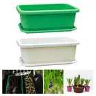Flower Pot Vegetable Planter Container with Tray Convenient Organizer Growing
