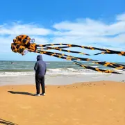Octopus Kites with Long Tails kite, for Beach Trip Family Games Easy Flyer