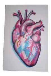 postcard Anatomic Heart By Brandy Devoid