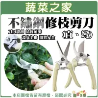 在飛比找momo購物網優惠-【蔬菜之家】不鏽鋼修枝剪刀直、彎不鏽鋼剪錠鋏(園藝剪刀 花剪