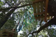 Teen Treetops Ropes Course - Nowra