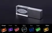 USB Flash Drive 2.0 Metal Stick 4/8/16/32/64 GB Car Logo Ford Colored LED Light