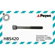 Payen Cylinder Head Bolt Set - HBS420