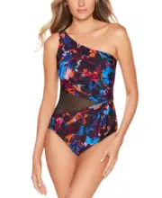 Miraclesuit Women's Solstice Gem One-Piece Swimsuit (Wine Red, 16)